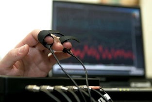 不借助測(cè)謊儀 網(wǎng)絡(luò)科技研發(fā)中辨識(shí)說(shuō)謊者的四招實(shí)用技巧